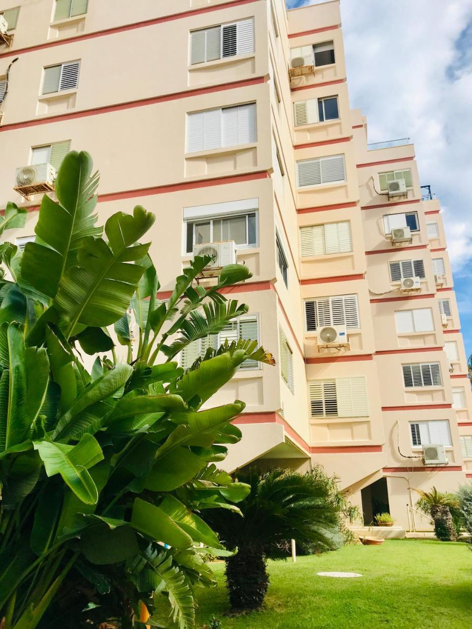 Royal Lea Apartmens 内坦亚 外观 照片